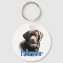Search for labrador key rings Retriever