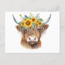 Search for cow postcards Highland