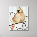 Search for female cardinal art Cardinals