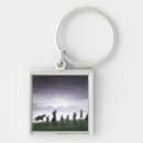 Search for fellowship key rings Middle earth