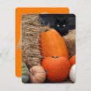 Search for black cat halloween invitations Autumn