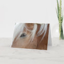 Search for haflinger horse cards Palomino