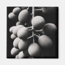 Search for sour magnets Fruit