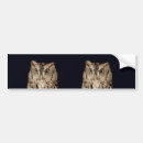 Search for feathers bumper stickers Black
