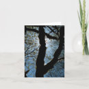 Search for spring tree cards Silhouette