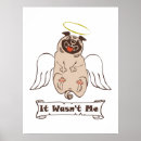 Search for innocent art Pet