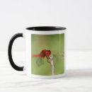 Search for nature reserve mugs Outdoors