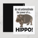 Search for hippo postcards Safari