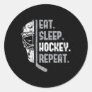 Search for youth hockey stickers Boston