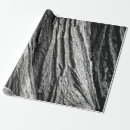 Search for tree trunk wrapping paper Texture