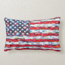 Search for american flag cushions Abstract