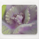 Search for produced mousepads Plant