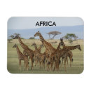 Search for namibia magnets Safari