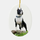 Search for staffordshire bull terrier christmas tree decorations Pit