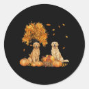 Search for golden moon stickers Fairy light