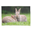 Search for rabbit pillowcases Nature