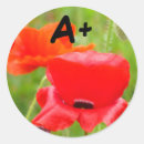 Search for teache stickers For kids
