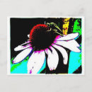 Search for grasshoppers postcards Photography