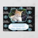 Search for pet mouse invitations Pets