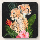 Search for wild barware Cheetah