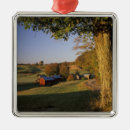 Search for south america christmas tree decorations Scenic