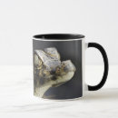 Search for alligator mugs Dangerous