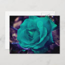 Search for business person postcards Blue