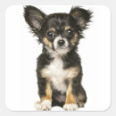 Search for brown hair stickers Dog