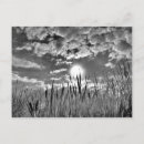 Search for black eye postcards Sky