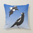 Search for magpie cushions Nature