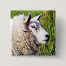 Search for ewes badges Cute