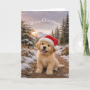 Search for cap christmas cards Golden retriever