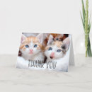 Search for cute kitten cards Whimsical