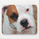 Search for boxer dogs mousepads Cute
