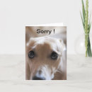 Search for cute sorry puppy cards Sad