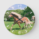 Search for running clocks Animal