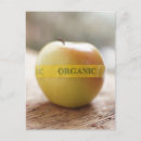 Search for organisms postcards Vertical