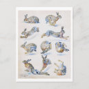 Search for rabbit painting postcards Dog