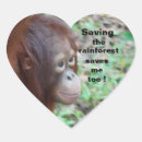 Search for rainforest stickers Conservation