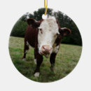 Search for stick christmas tree decorations Animal