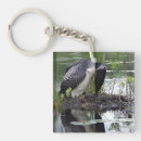 Search for ducks square key rings Water