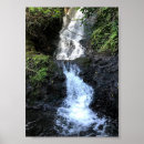 Search for waterfall posters Forest