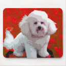 Search for bichon frise mousepads Animals