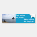 Search for leaves bumper stickers Nature