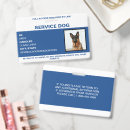 Search for service dog Official