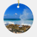 Search for cozumel christmas tree decorations Ocean