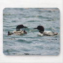 Search for loons mousepads Lake