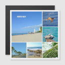 Search for palm tree stamp magnets Blue
