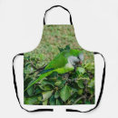 Search for bush aprons Nature