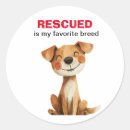 Search for favorite stickers Cute